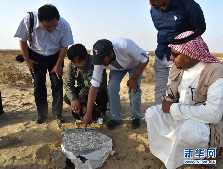 中沙考古队在沙特古港口遗址发现中国瓷片