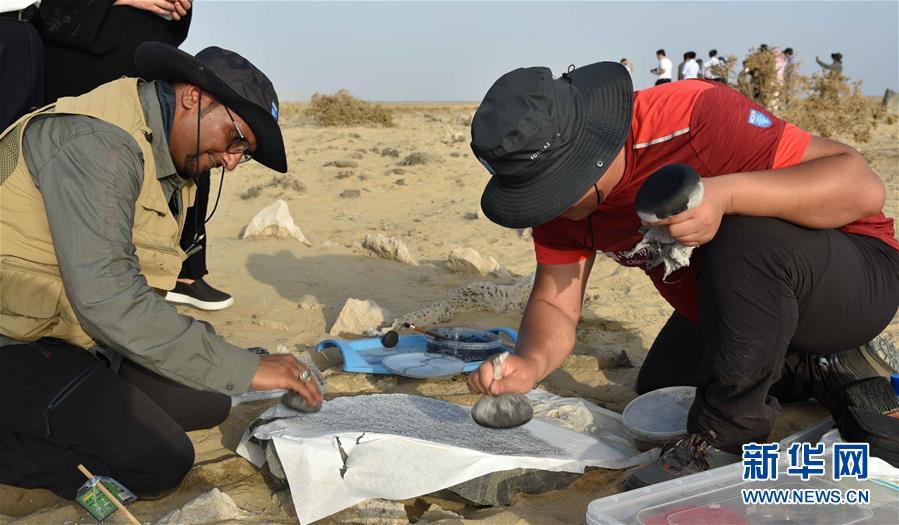 中沙考古队在沙特古港口遗址发现中国瓷片