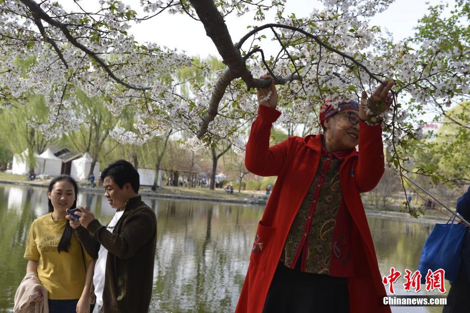 北京玉渊潭公园春和景明游人众多