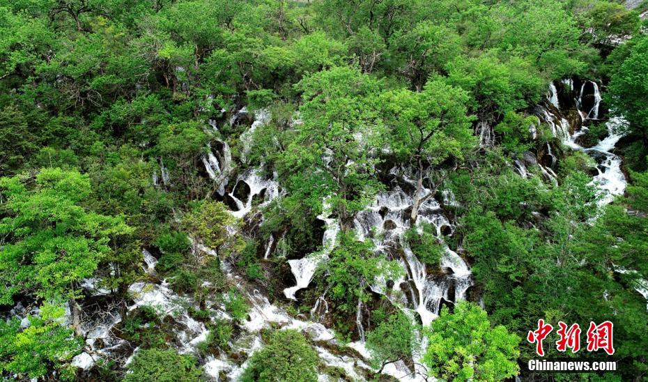 走进初夏的九寨沟光彩依旧