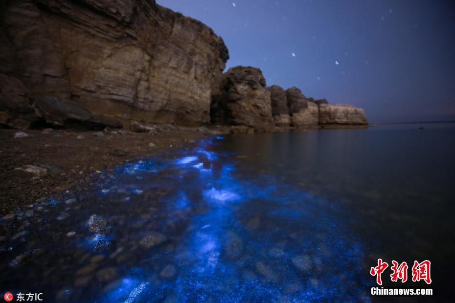 大连频现“荧光海”景观 开启蓝色梦幻模式