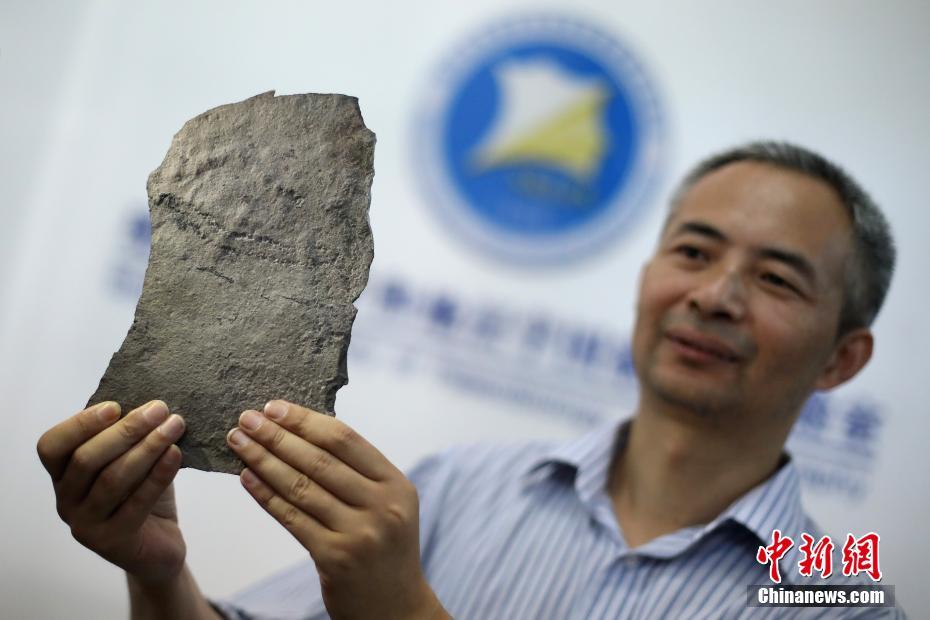 中美科学家在中国发现地球已知最古老动物足迹化石