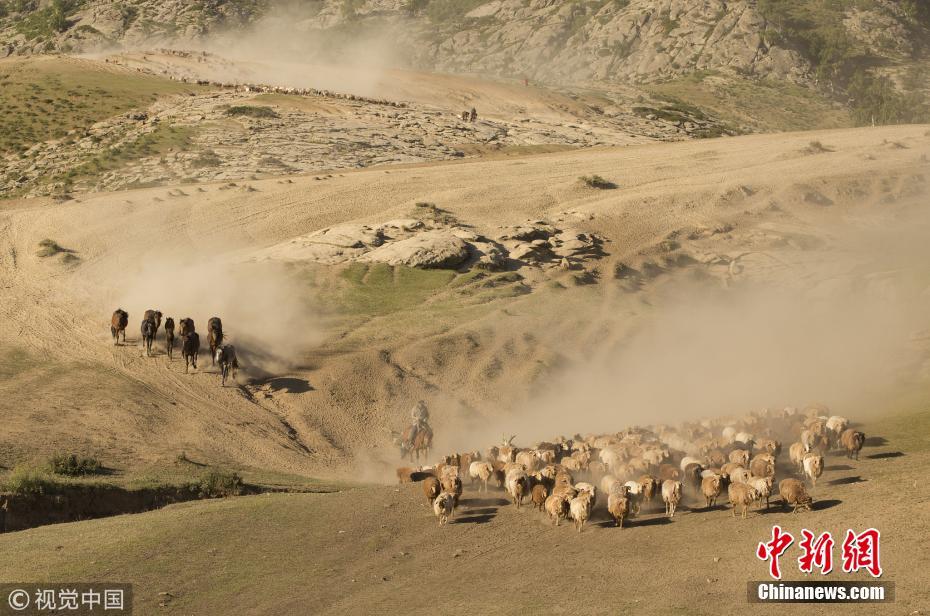 实拍新疆哈萨克族牧民夏季“生命大迁徙”