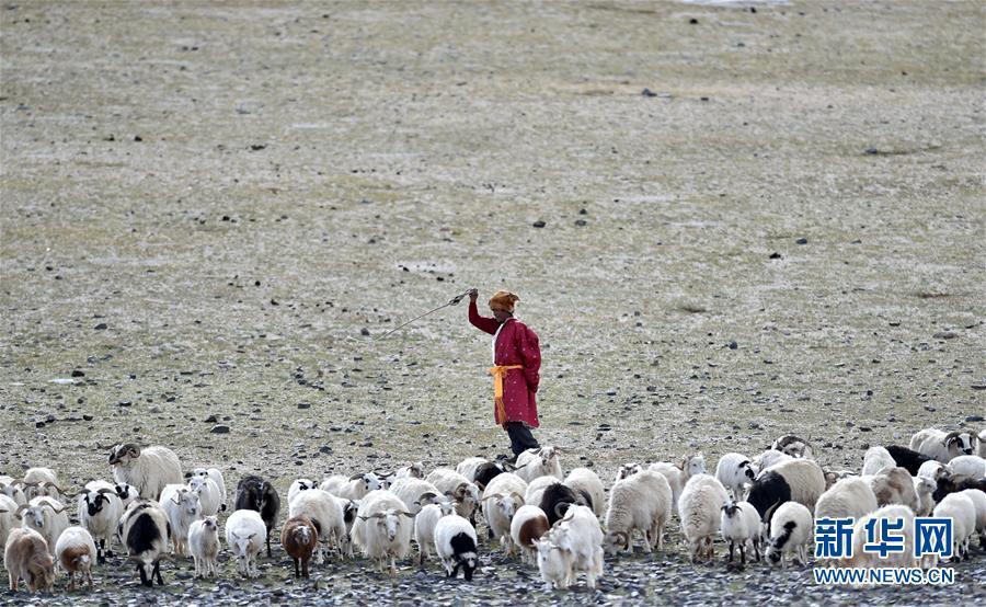 西藏首批高海拔地区群众搬迁 离开“生命禁区”