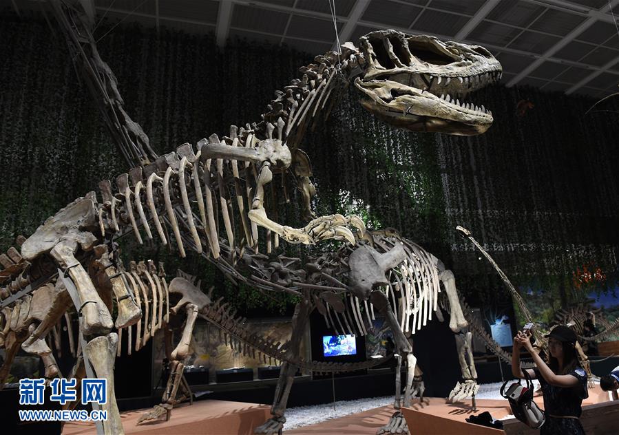 南京博物院举办恐龙主题展