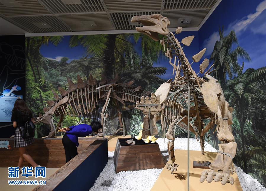 南京博物院举办恐龙主题展