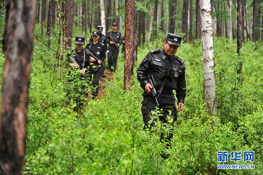 内蒙阿龙山森林警察守护林海28年如一日