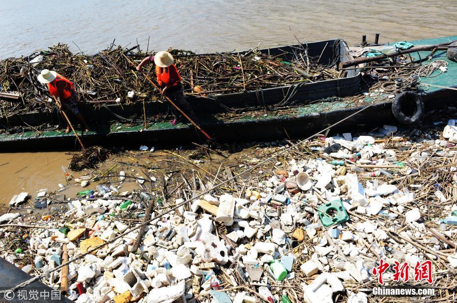 洪峰过后 三峡库区每天清理1500吨漂浮垃圾