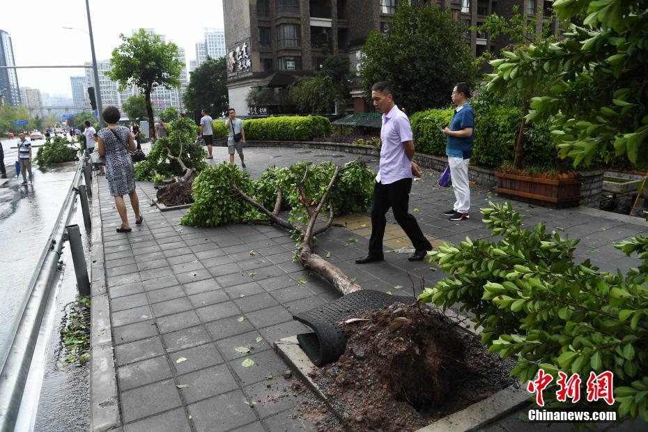 大风袭击重庆主城区 建筑工棚垮塌交通阻断