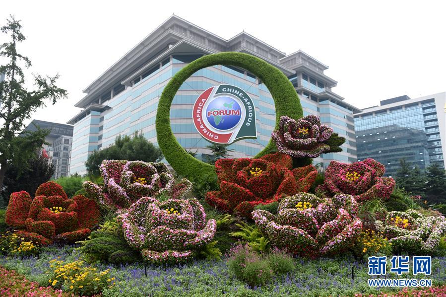 北京街头靓丽花坛迎盛会