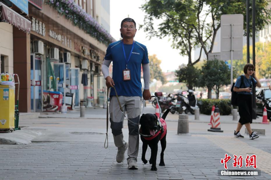 导盲犬“亮相”西安地铁站 首只即将免费交付盲人使用