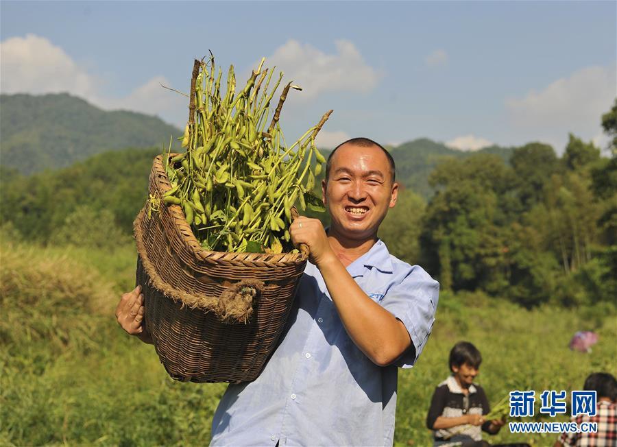 迎丰收 晒丰收 庆丰收