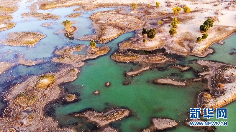 航拍丨金色胡杨装点罗布淖尔国家湿地公园