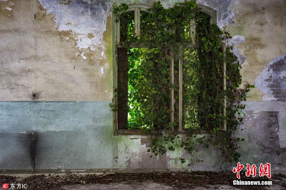 摄影师旅拍欧洲废弃建筑 绿植肆虐废墟尽显沧桑