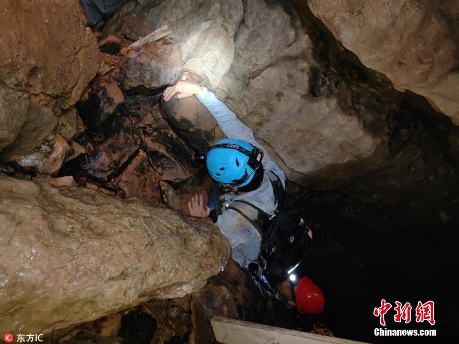 四川500米深洞发现奇异昆虫景观