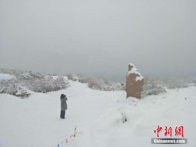 持续降雪新疆天山天池景区现“一黄一白”景色