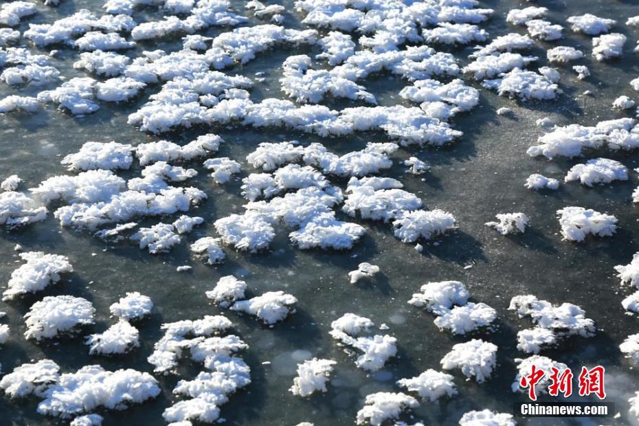 甘肃戈壁湿地冰面“雪处疑花满”