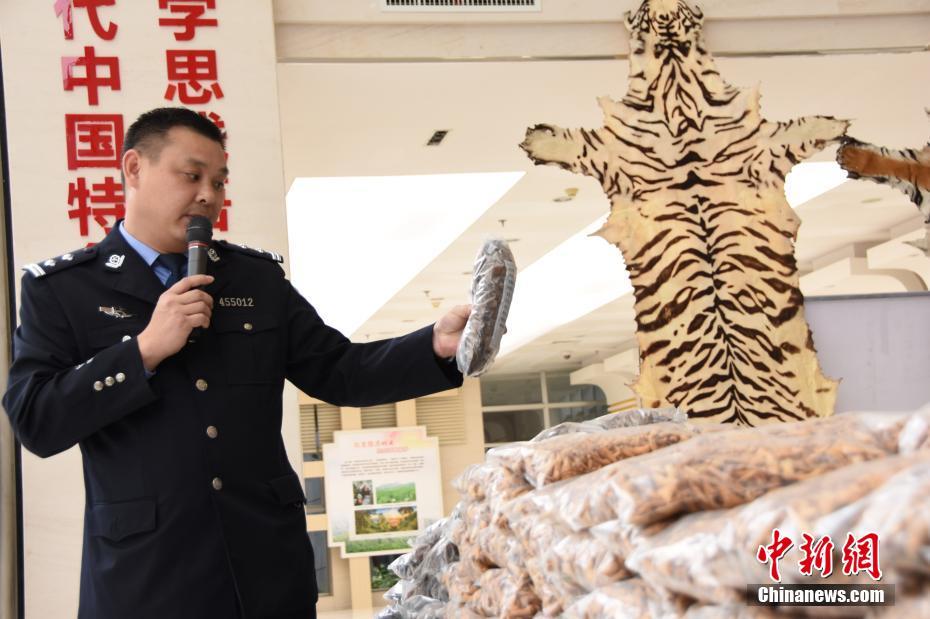 广西缴获大量野生动物制品 涉案价值近三千万元