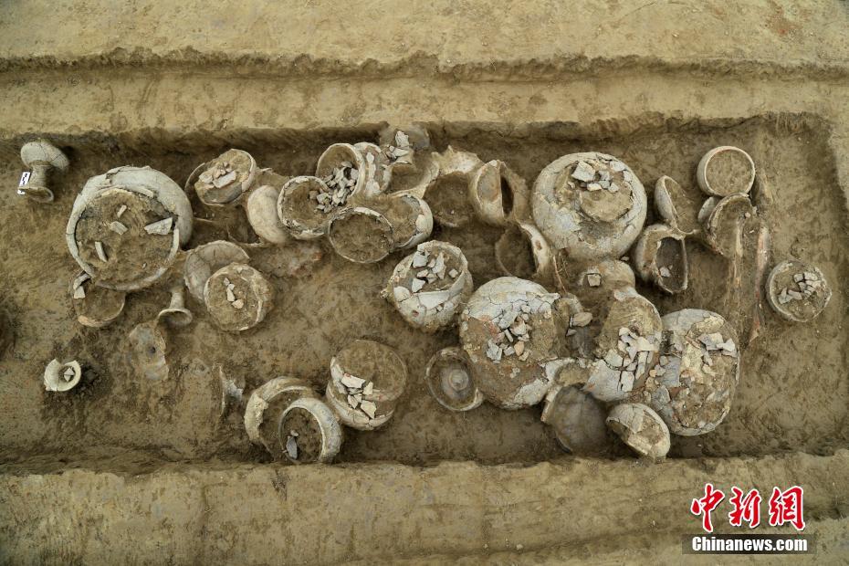 成都平原首现战国时期集中式未成年人墓葬群