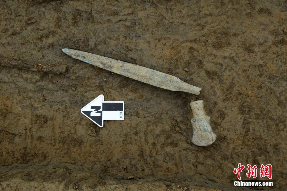成都平原首现战国时期集中式未成年人墓葬群