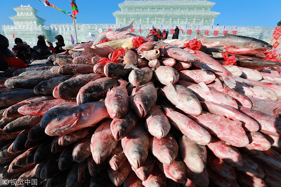 吉林松原：查干湖第十七届冰雪渔猎文化节开幕 大鱼堆成墙