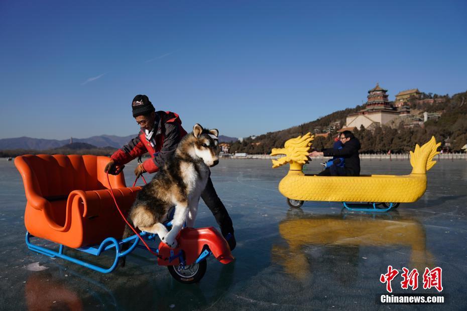 北京颐和园冰场向社会开放 演练冰上救援