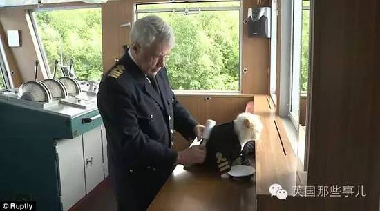 俄罗斯猫船长走红 小弟猫水手也跟着红了