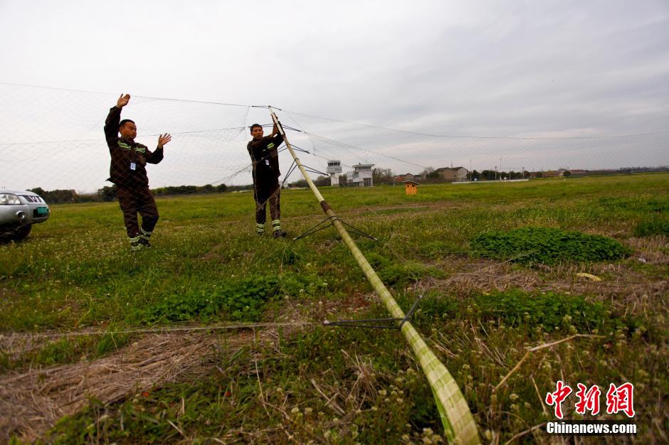 2015年3月26日,攔鳥網的一根支撐杆斷了,倪春藝和隊友正在進行修整.