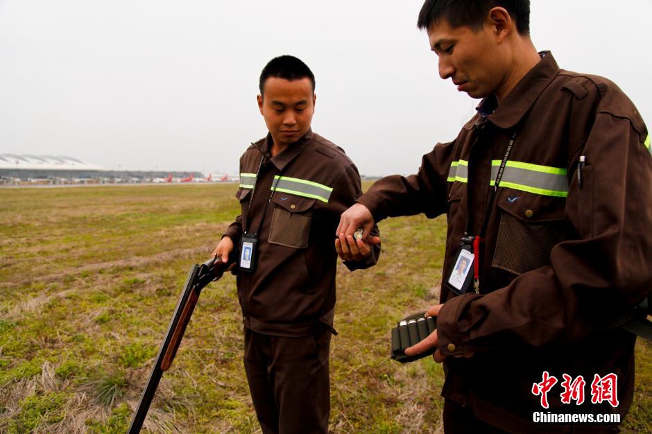 圖片故事:安全守護神——機場驅鳥人