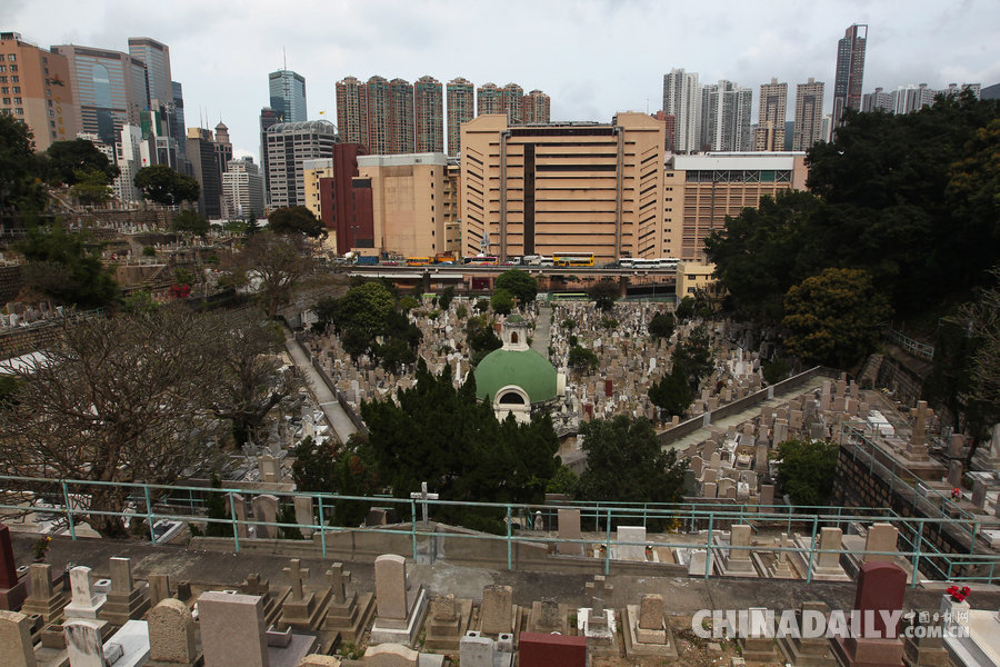 图片故事：与墓为邻的香港