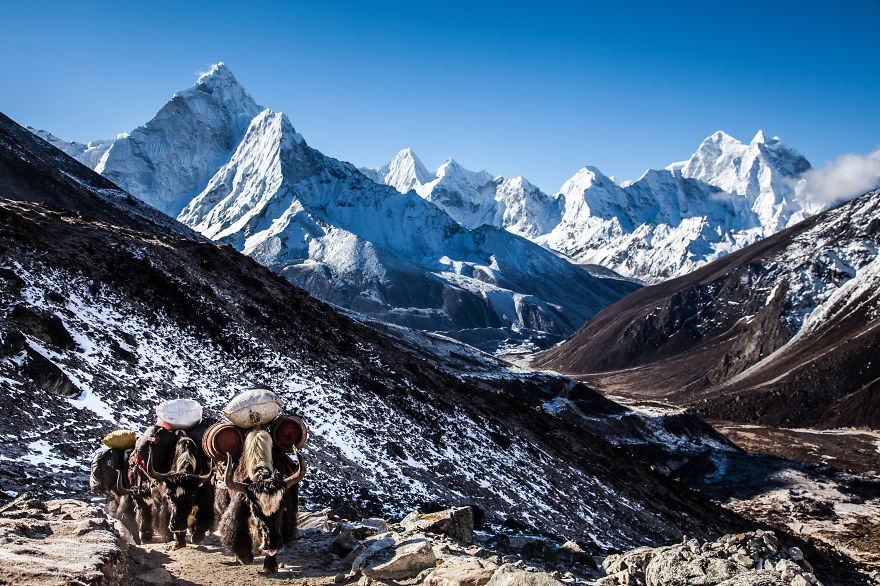 摄影师卖震前尼泊尔照片助救援 