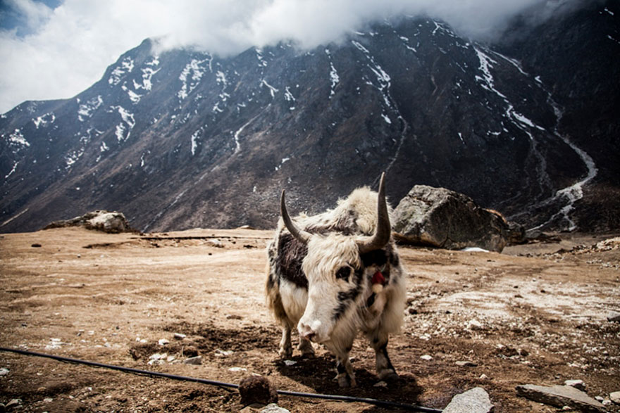 摄影师卖震前尼泊尔照片助救援 