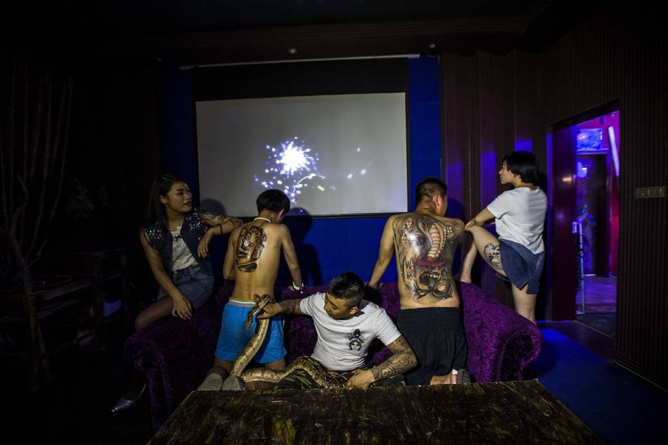 纹身社会人聚会图片图片
