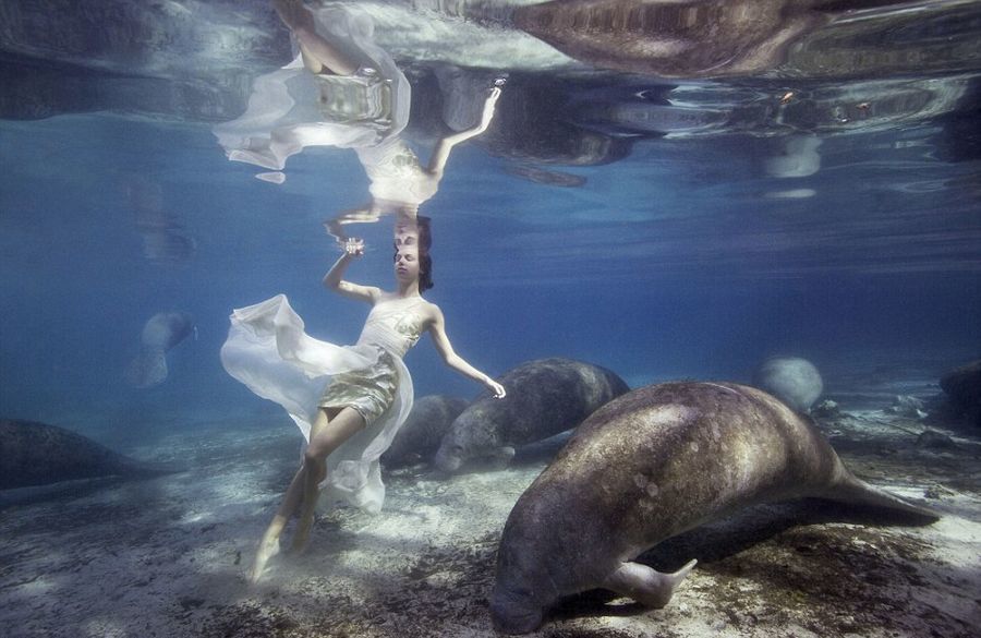 十二美女海底图片