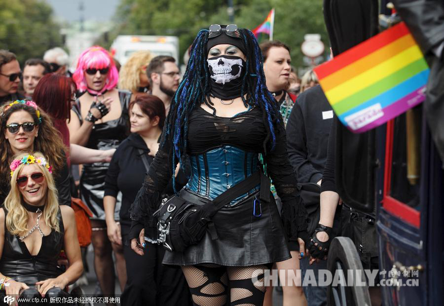 奥地利维也纳举行同性恋骄傲大游行