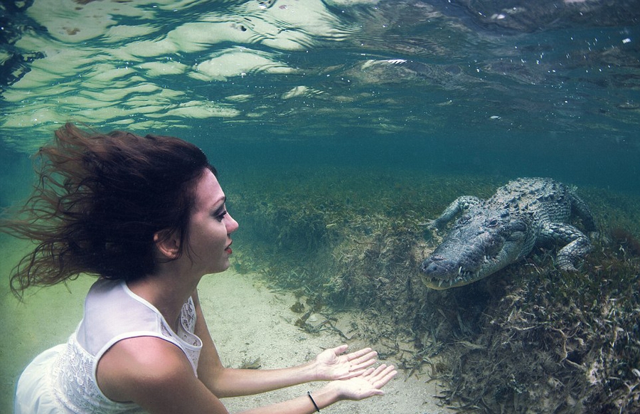 意大利美女模特水下与美洲鳄同游嬉戏