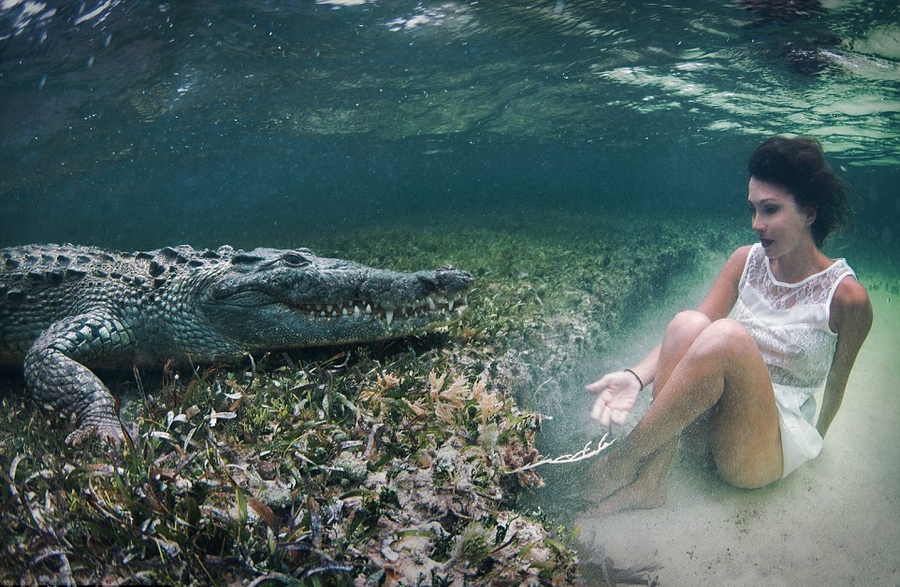 意大利美女模特水下与美洲鳄同游嬉戏
