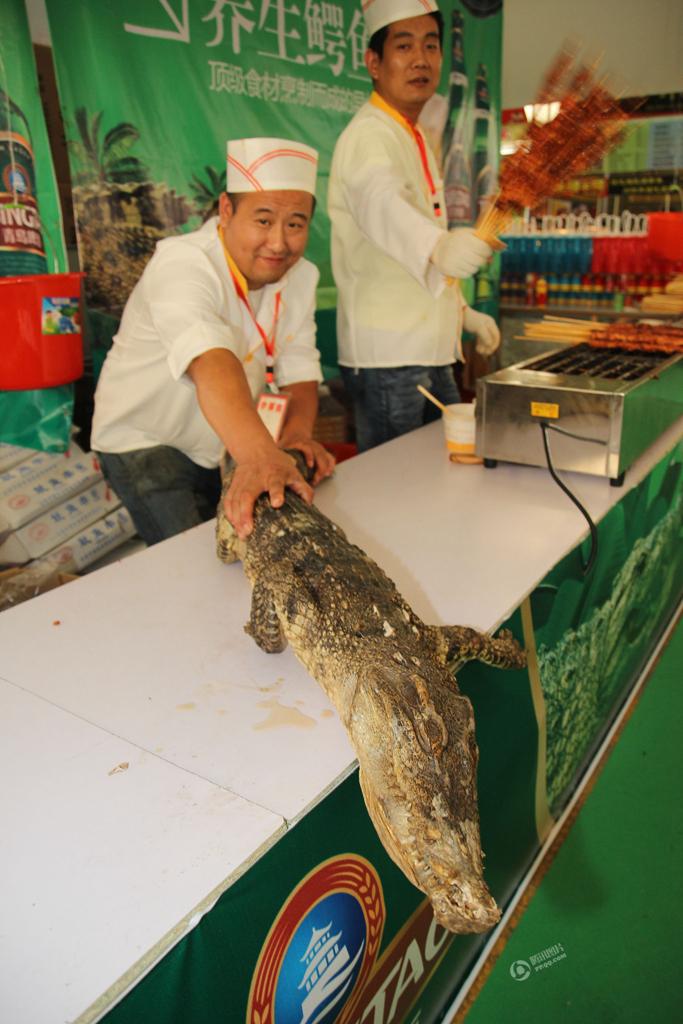 青島辦吃貨節鱷魚鯊魚肉齊亮相