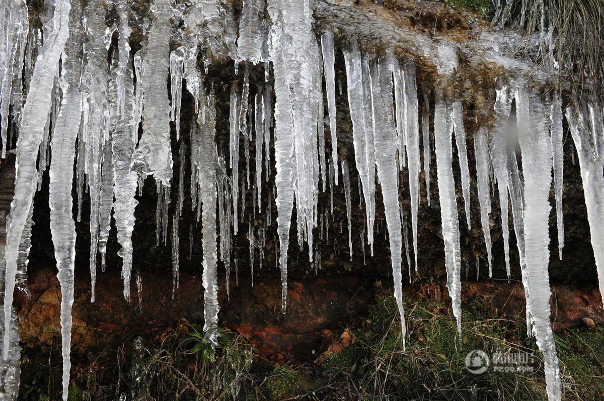 现场最长的一根冰棱长度超过了2米,附近村庄上了