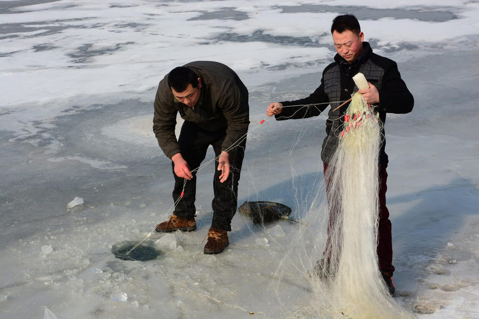 山东聊城市民湖上玩凿冰捕鱼 一网捕几十斤