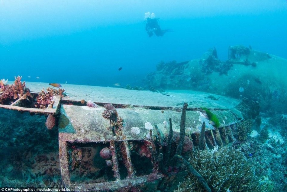 南太平洋海底現二戰軍機和飛行員遺骸