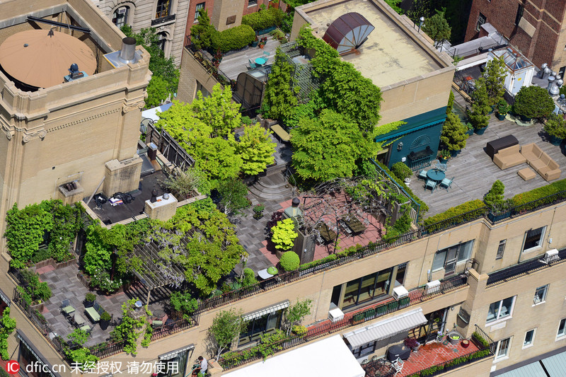 紐約民眾高樓頂建造迷你空中花園