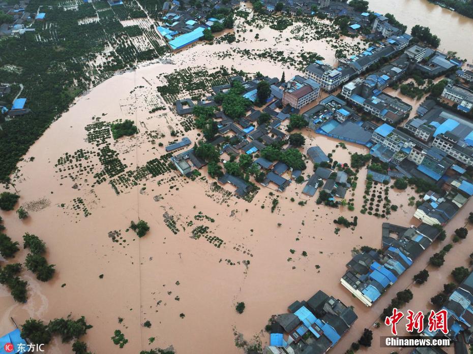 成都特大暴雨蒲江壽安鎮洪水淹沒村莊農田