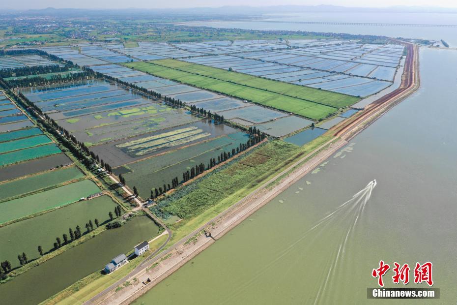 9月10日,航拍安徽省马鞍山博望区石臼湖湿地风光